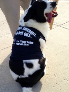 Cute dog in an EFC shirt.